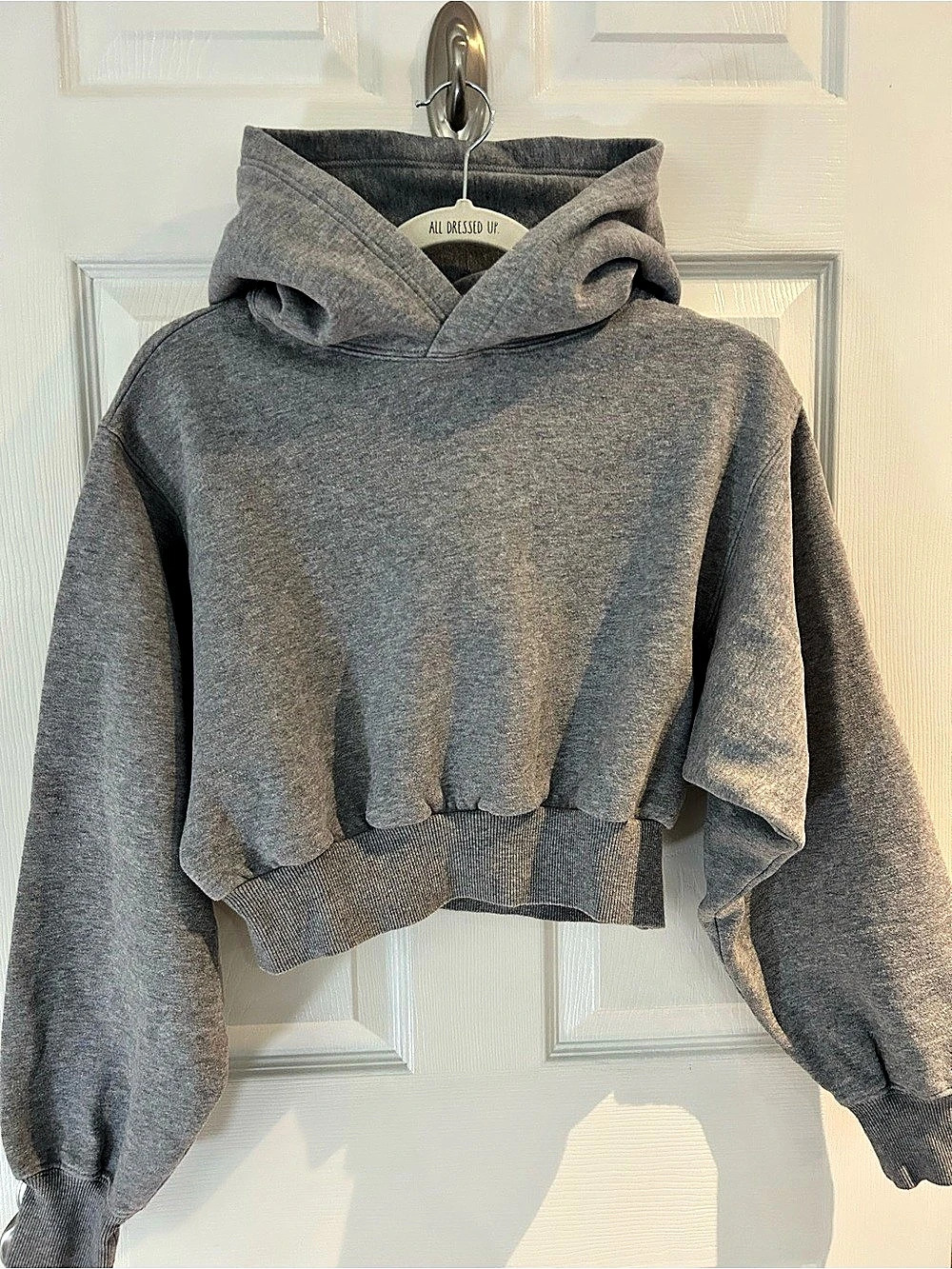 Tna Cozy Fleece Boyfriend Cropped Hoodie Gray XS